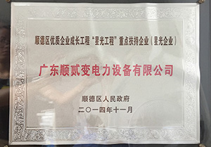 Key supported enterprises under the 